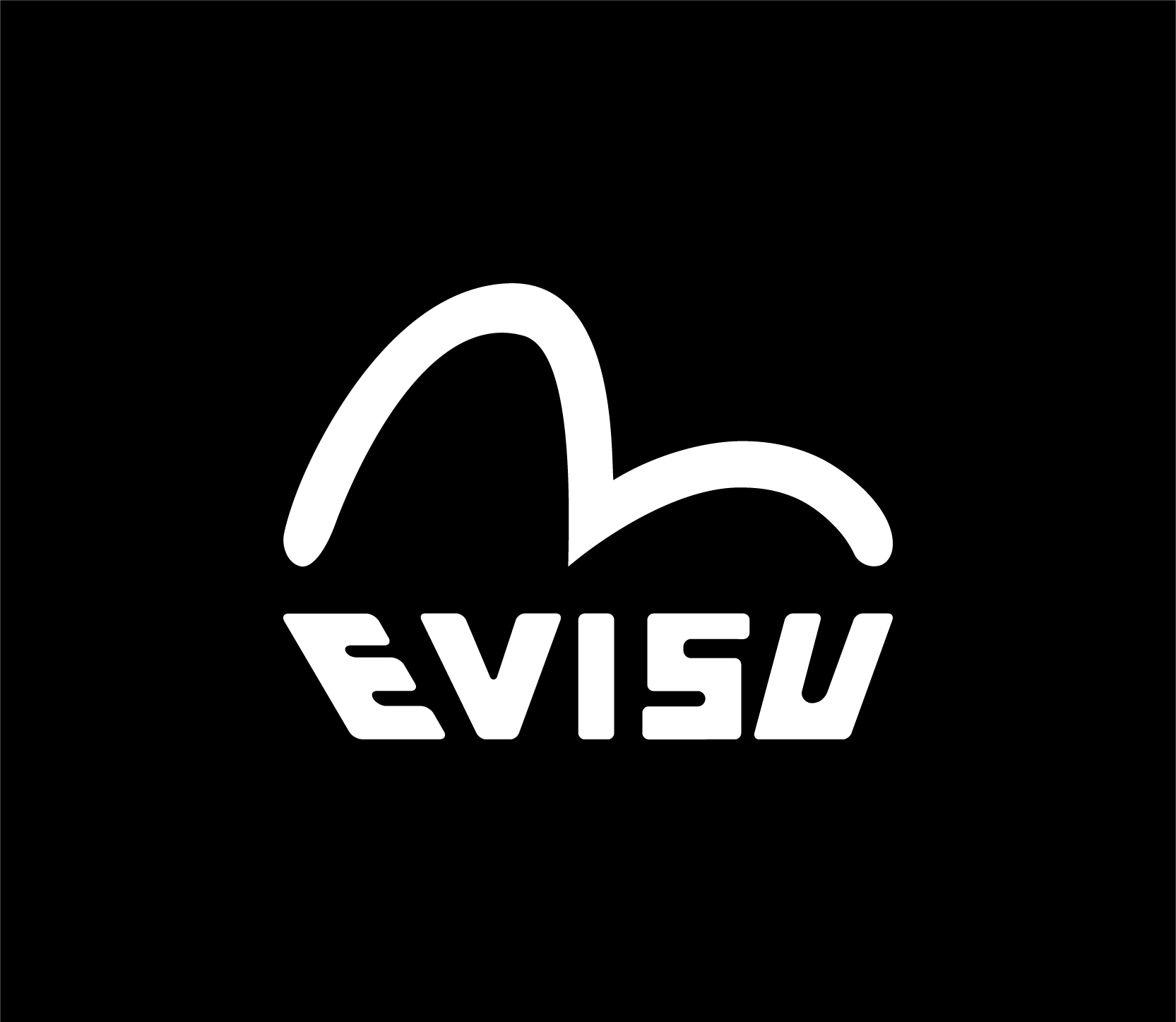 Evisu 